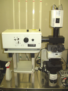 Microscope 1